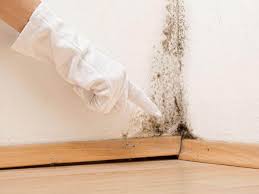 Best Residential Mold Inspection & Testing  in Dillon, MT